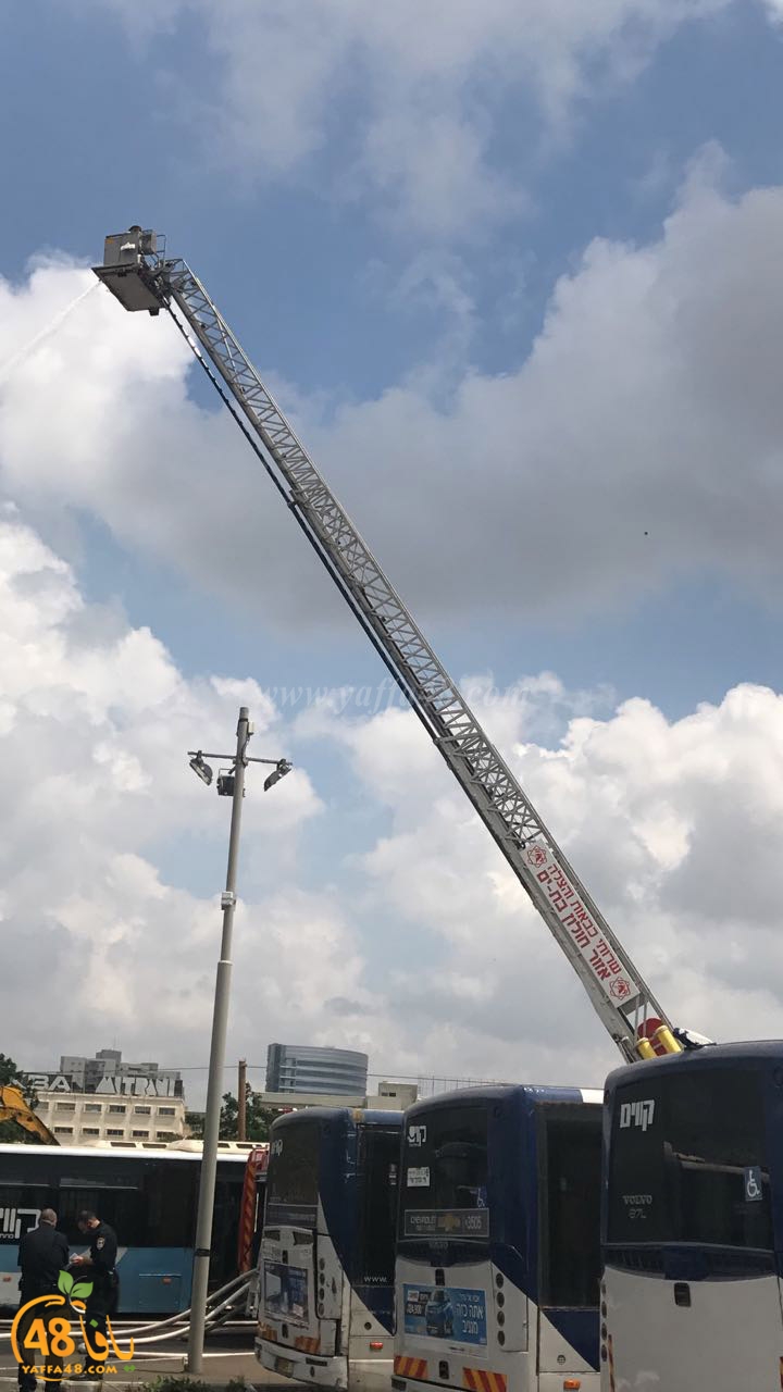 firbus eastyaffa (2).jpg